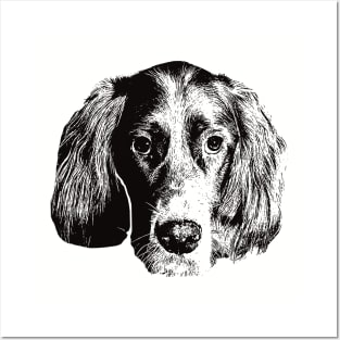 English Setter gift for English Setter Owners Posters and Art